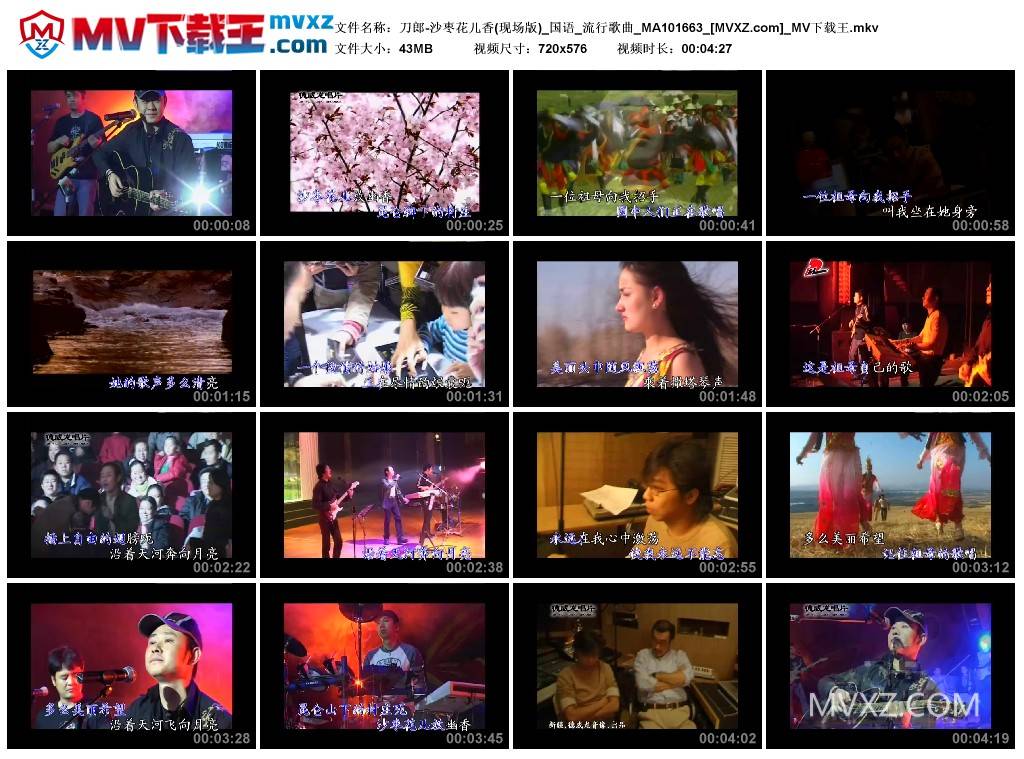 刀郎-沙枣花儿香(现场版)_国语_流行歌曲_MA101663